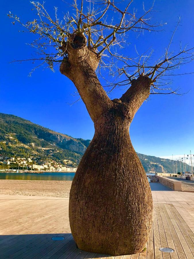 Appartamento Longue 1 Mentone Esterno foto